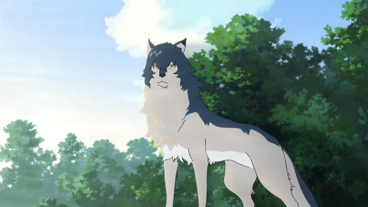 Sad Anime Wolf Wallpapers  Wallpaper Cave